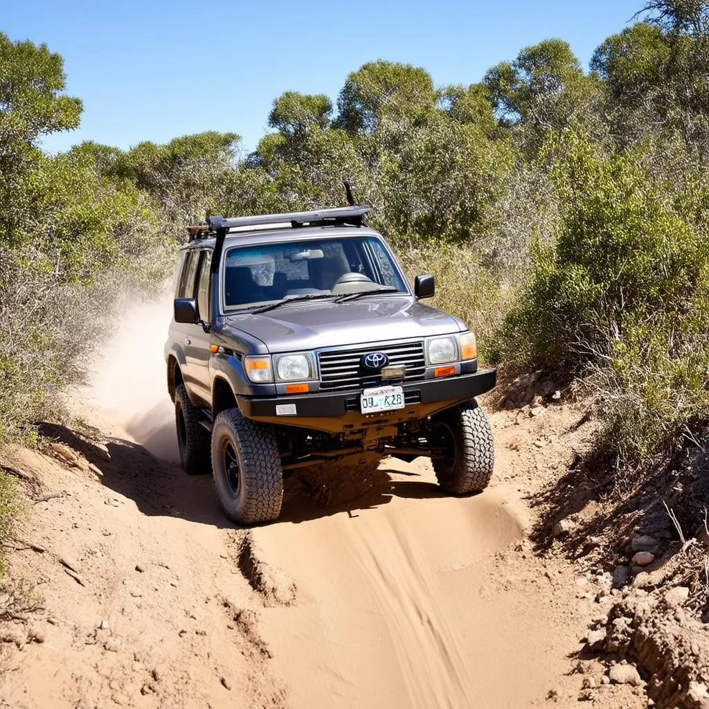 Off-Roading Land Cruiser