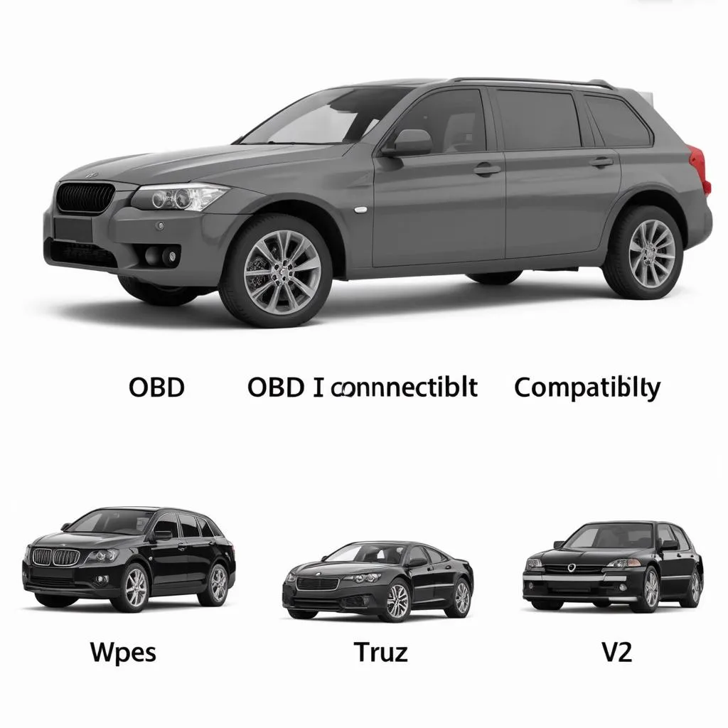 OBD II Scanner Compatibility