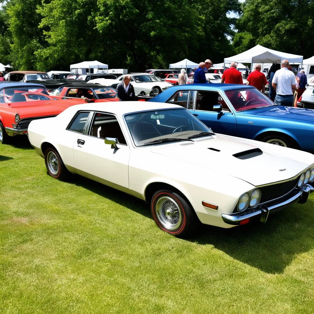 Classic cars on display at Altoona Car Show