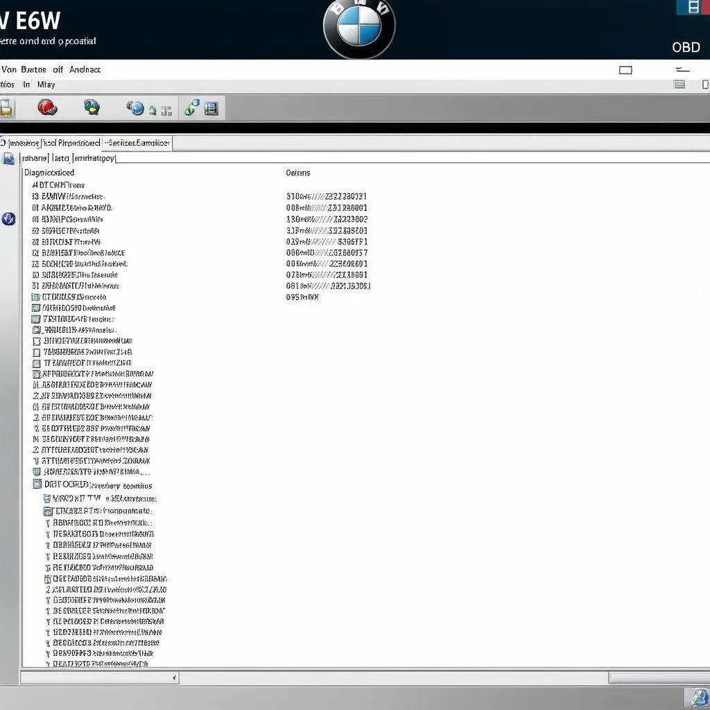 bmw-e60-obd-software-guide