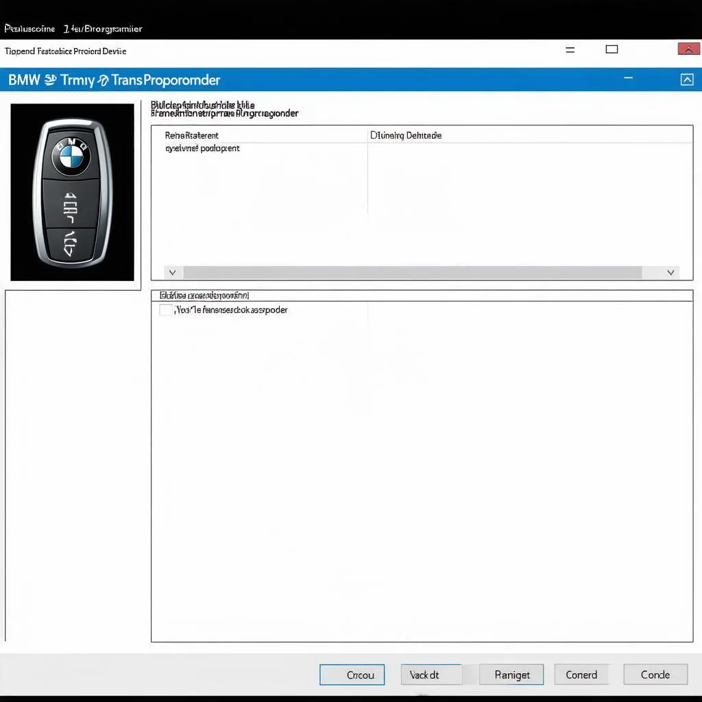 BMW Key Programming Software