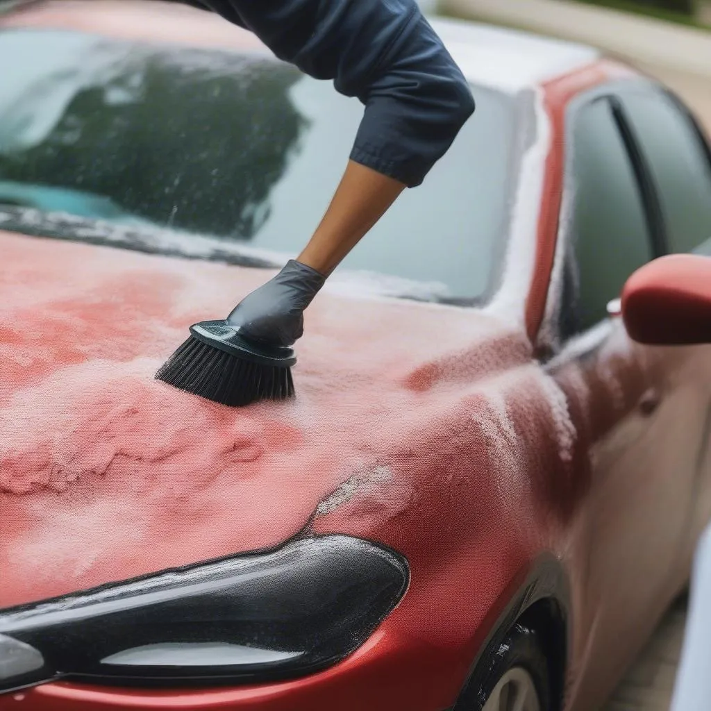 Car cover cleaning