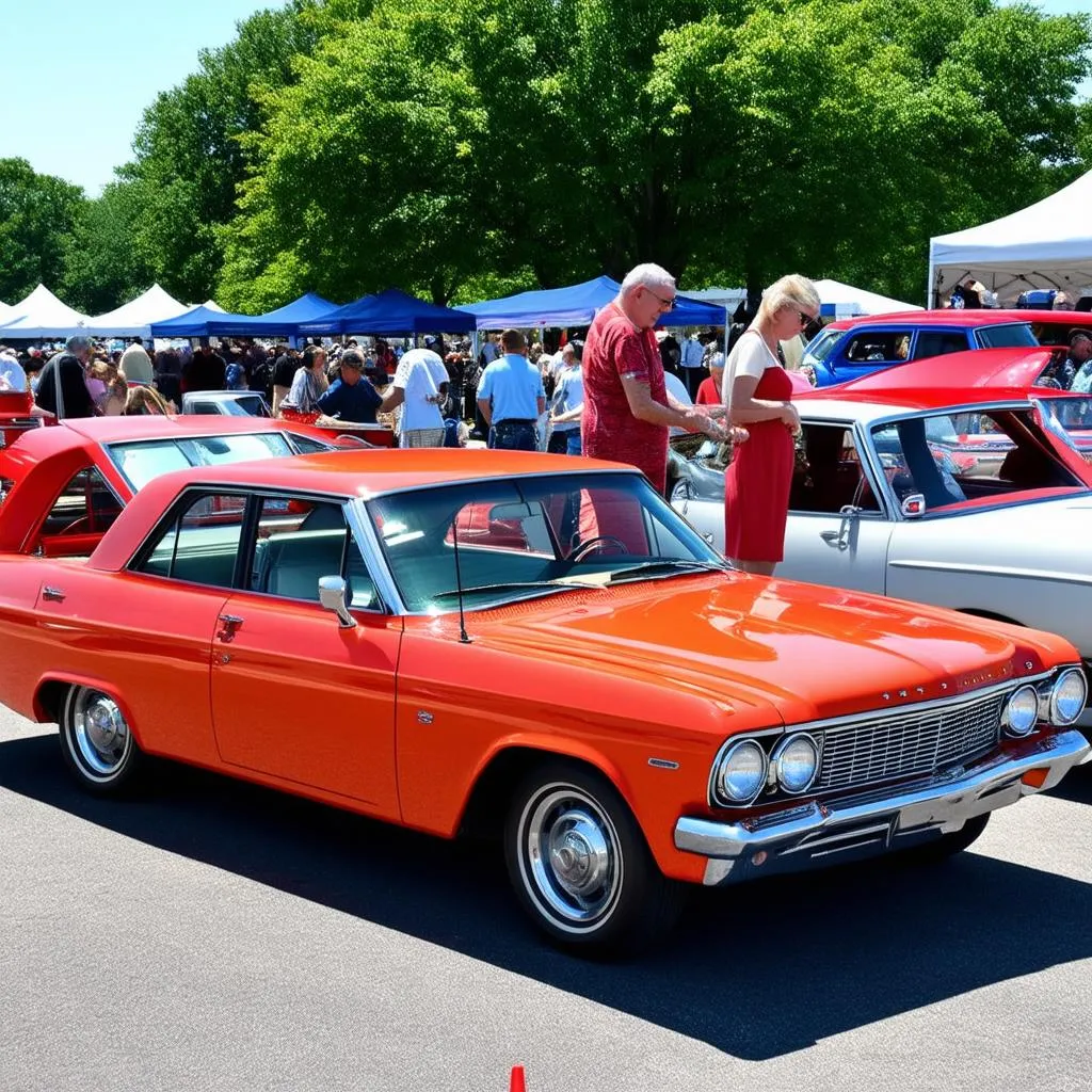 Classic Cars on Display