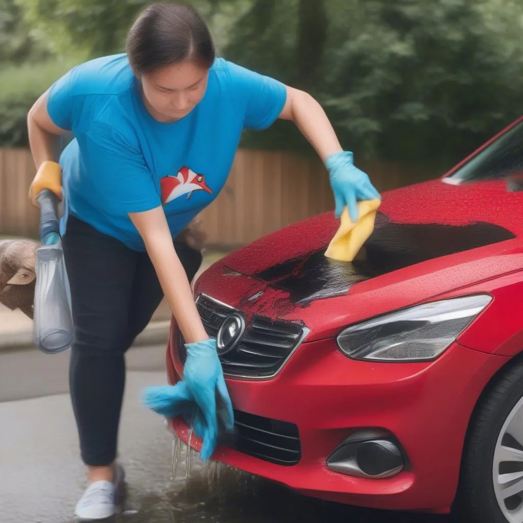 Cleaning Bird Dropping from Car