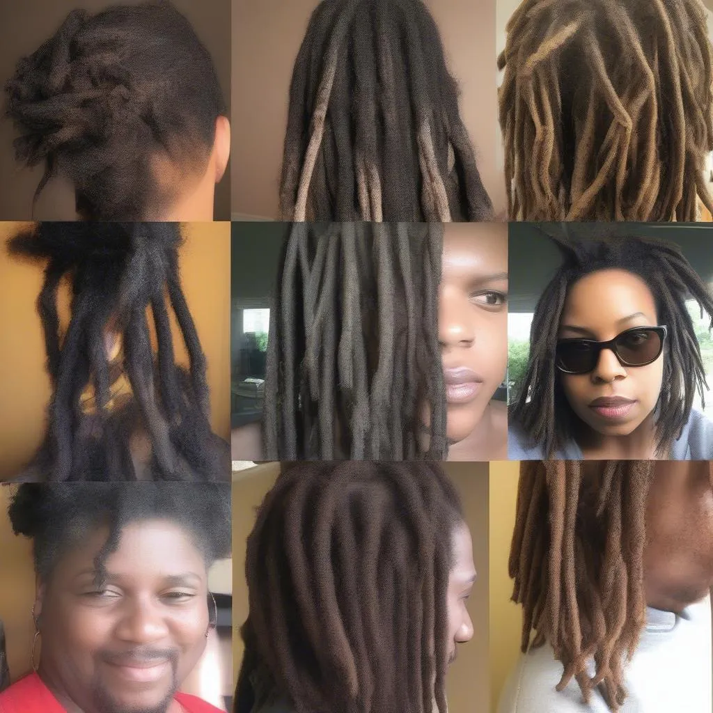 Dreadlock Stages