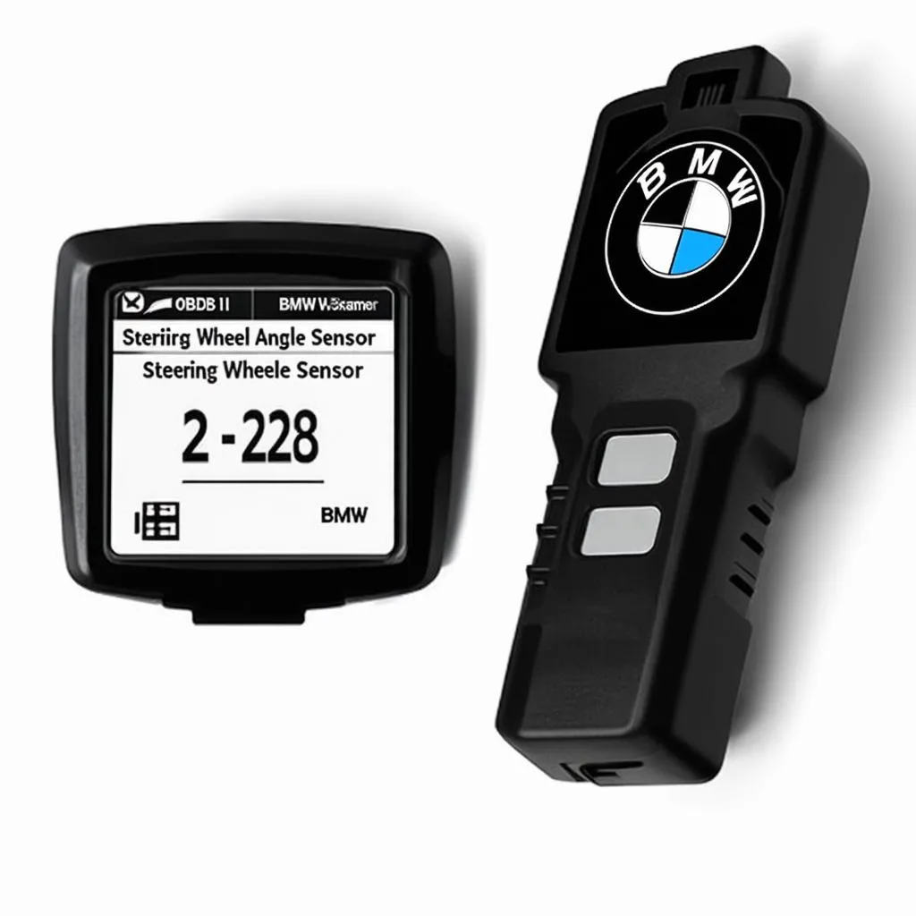 bmw diagnostic tool