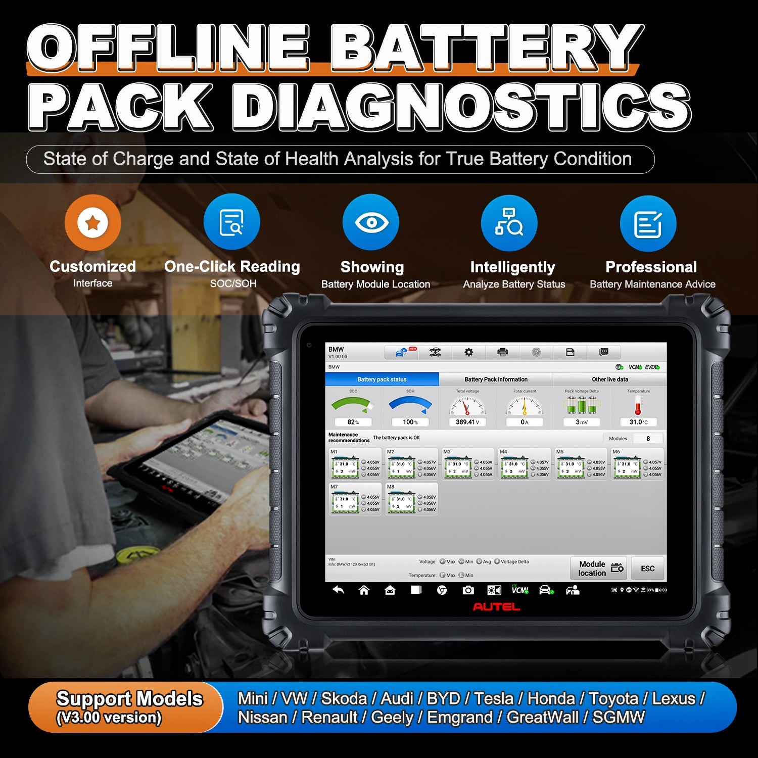 Offline Battery Pack Diagnostics Setup