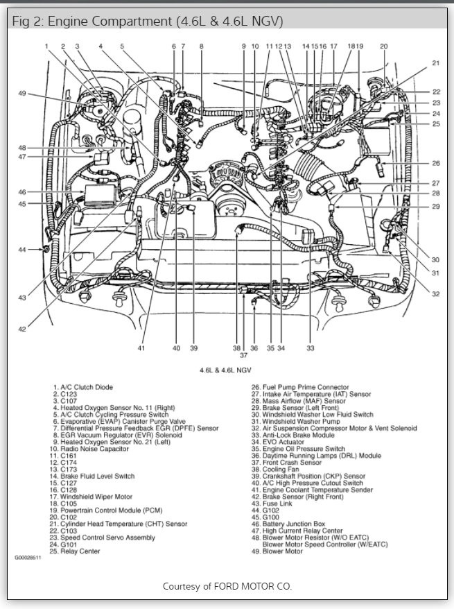 Under-hood fuse box location in a 2008 Honda CRV